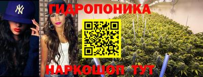 метадон Гусь-Хрустальный