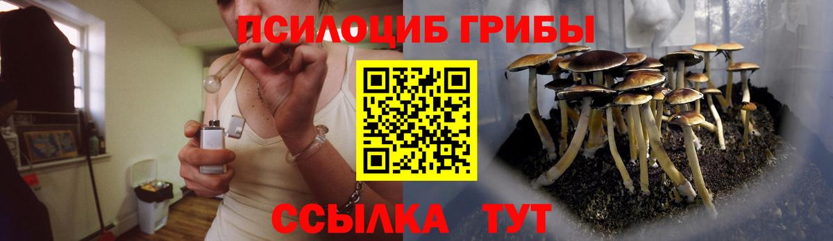 Псилоцибиновые грибы Cubensis  Вход с VPN  купить закладку  Шахты 
